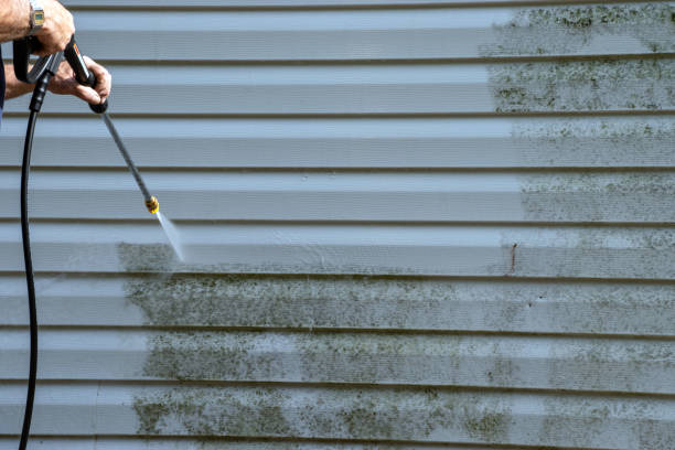 Affordable siding repair and maintenance services in Mariposa, CA
